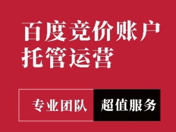 圖 企業(yè)網(wǎng)站建設 網(wǎng)絡推廣 代運營等服務 北京網(wǎng)站建設推廣